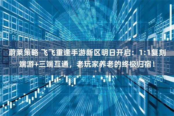 蔚莱策略 飞飞重逢手游新区明日开启：1:1复刻端游+三端互通，老玩家养老的终极归宿！