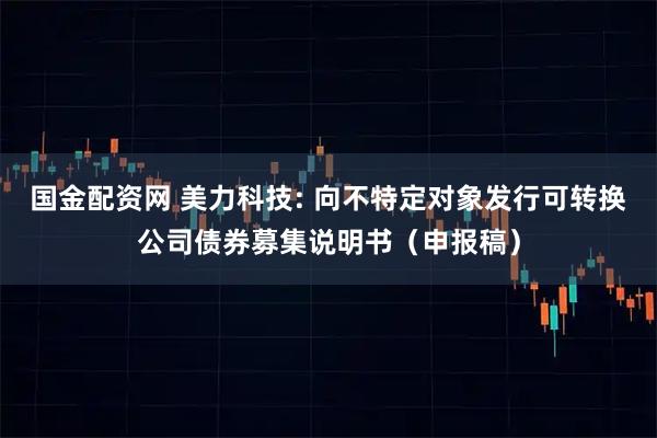 国金配资网 美力科技: 向不特定对象发行可转换公司债券募集说明书（申报稿）